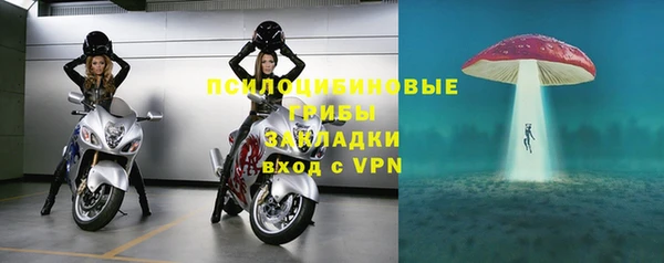 шишки Алексин